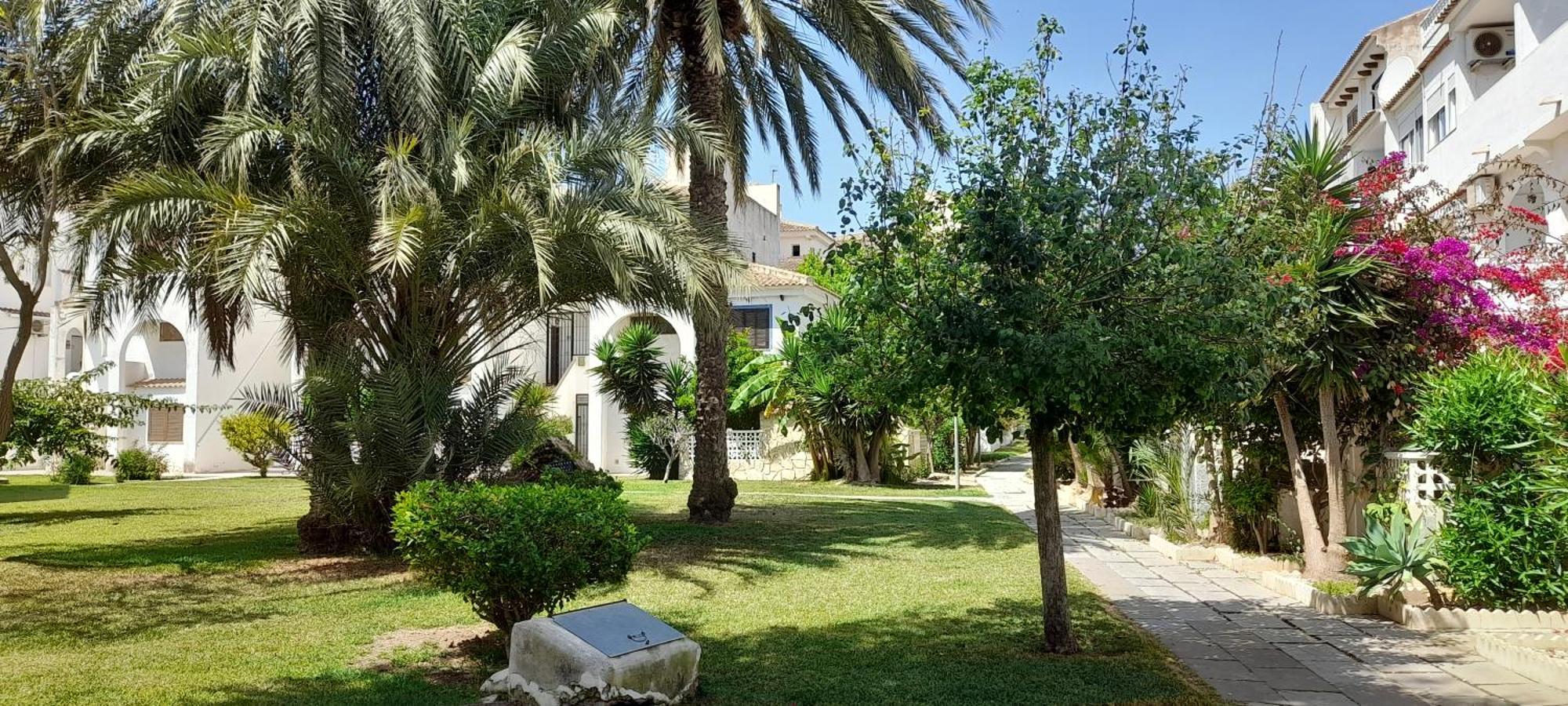 Apartment Los Locos Beach With Balcony And Wi-Fi Torrevieja Extérieur photo